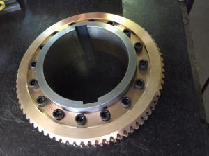 13256327 510546479151073 8224486201259088218 n